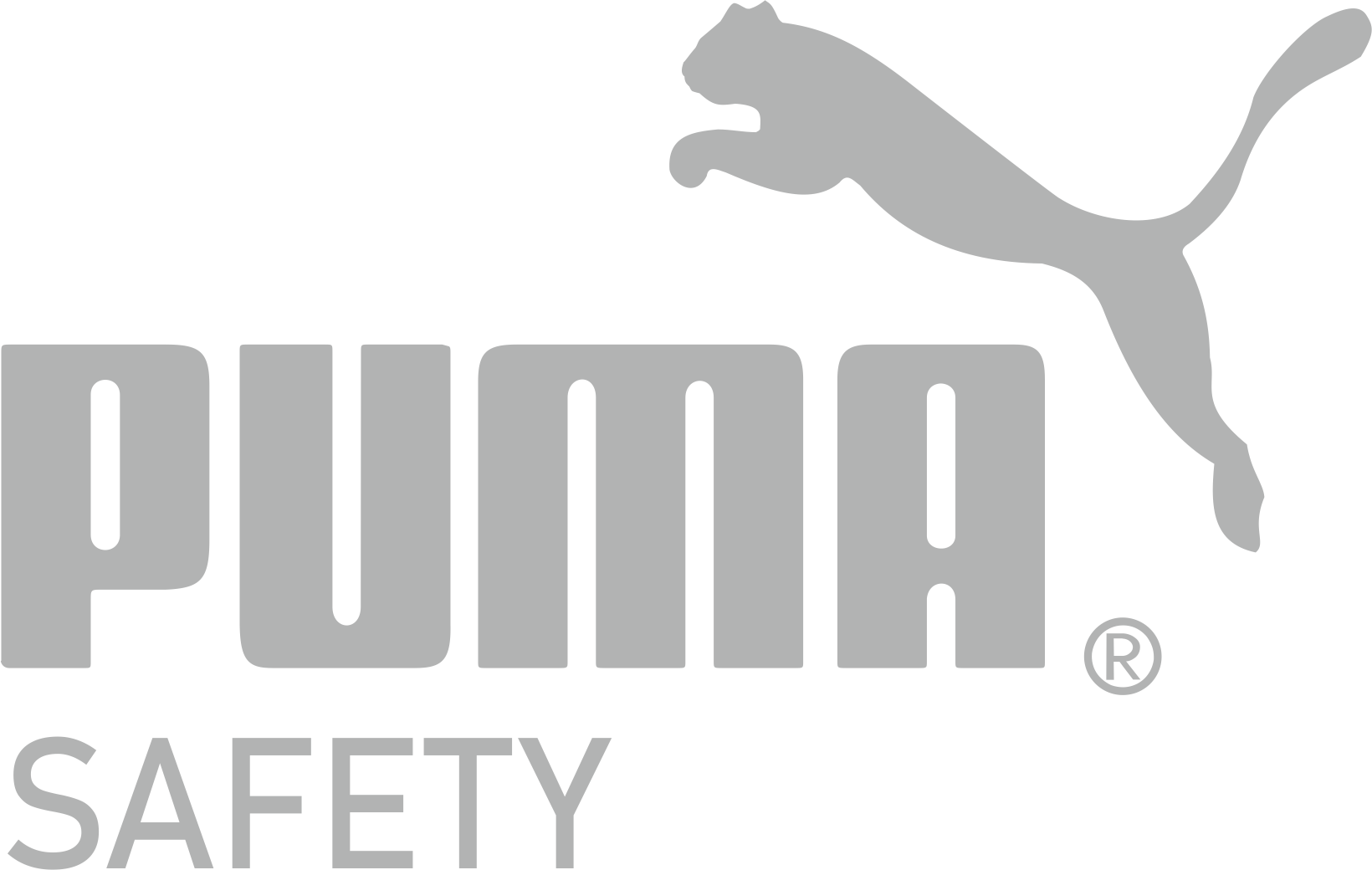 Puma Safety